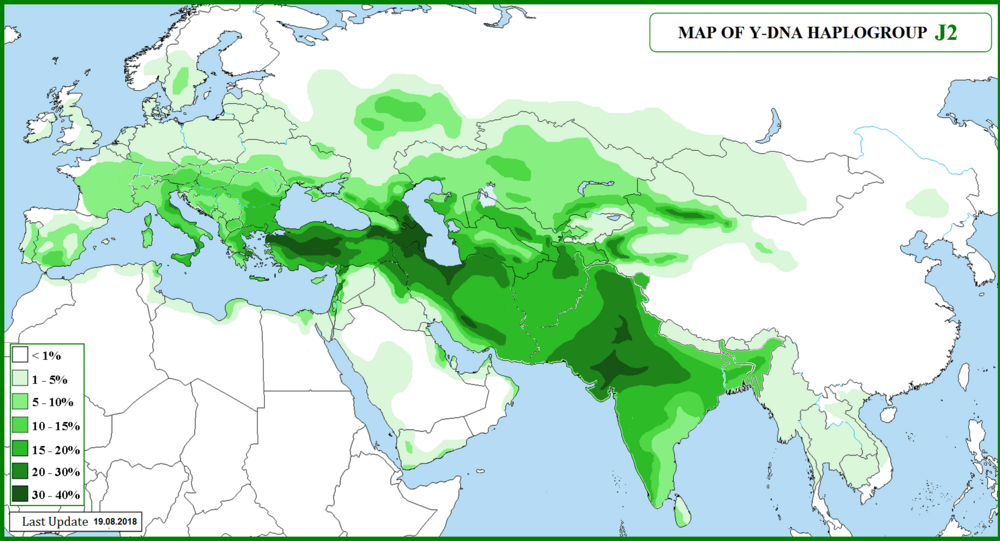 Haplogroup J2Y DNA 1