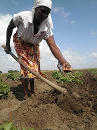 Image result for hard work farming