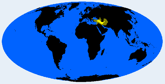 Protoiranid