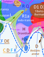 1613371955499