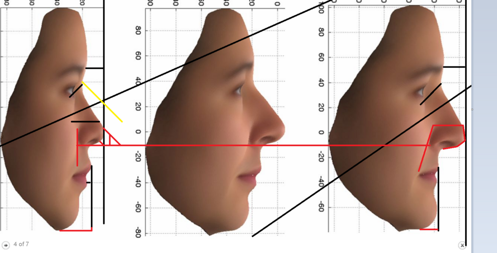 1613406026759