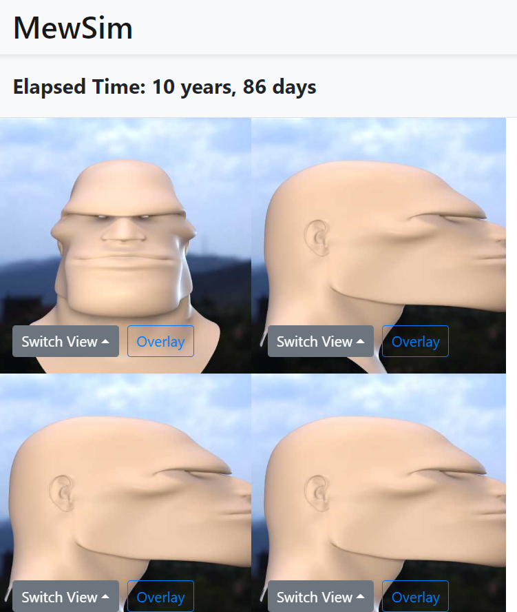 1613413498704
