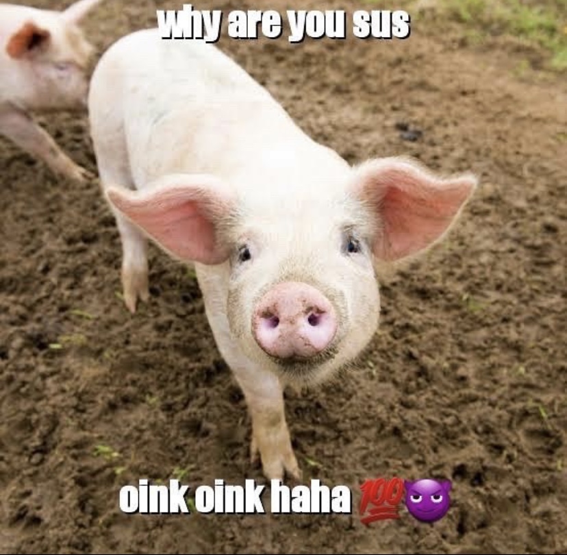 AB143F21 6648 468B 97C8 51684CEFE43B