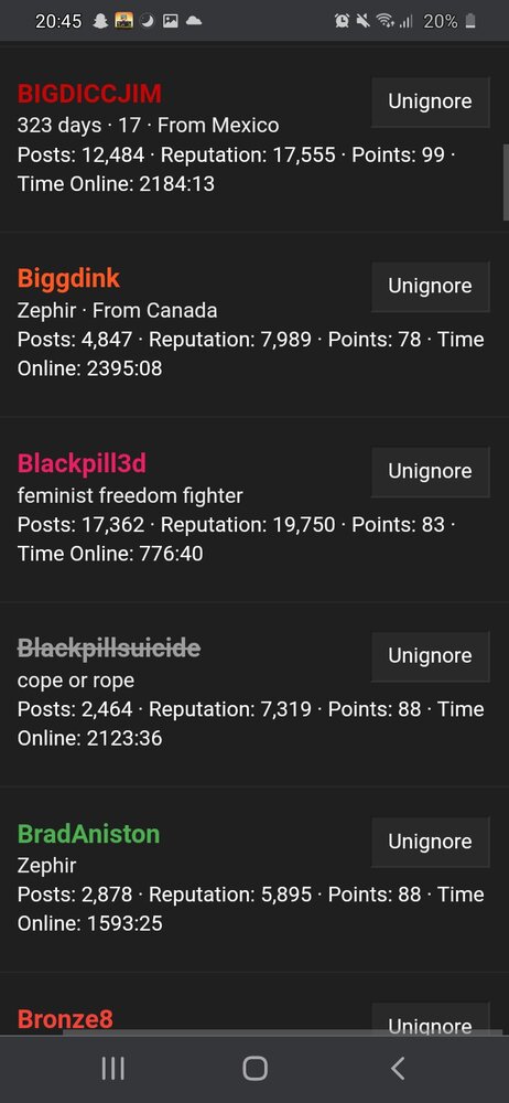 Screenshot 20210216 204538 Chrome