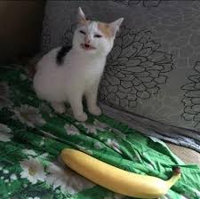 1613501917585