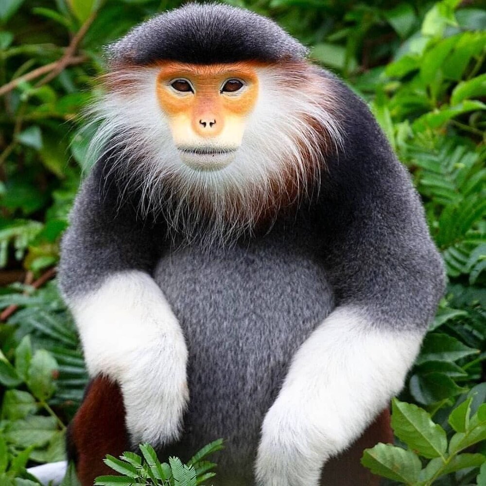 4a041290ce5330c36370f0e3909a4835