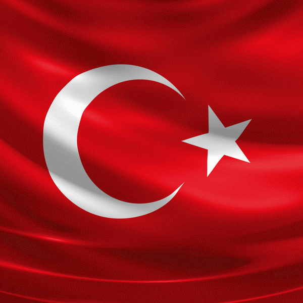 Bayrak asker 01 tam35 blogspot com