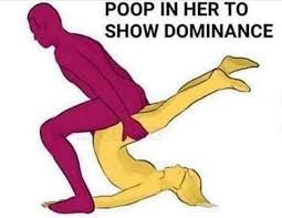 Image result for poop in her to assert dominance