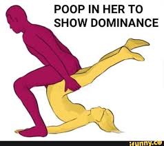 Image result for poop in her to show dominance