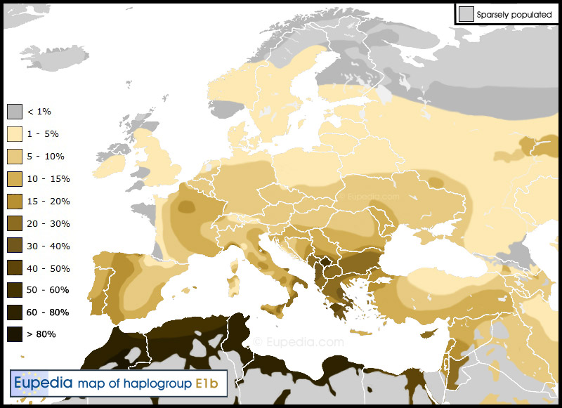 Haplogroup E1b1b