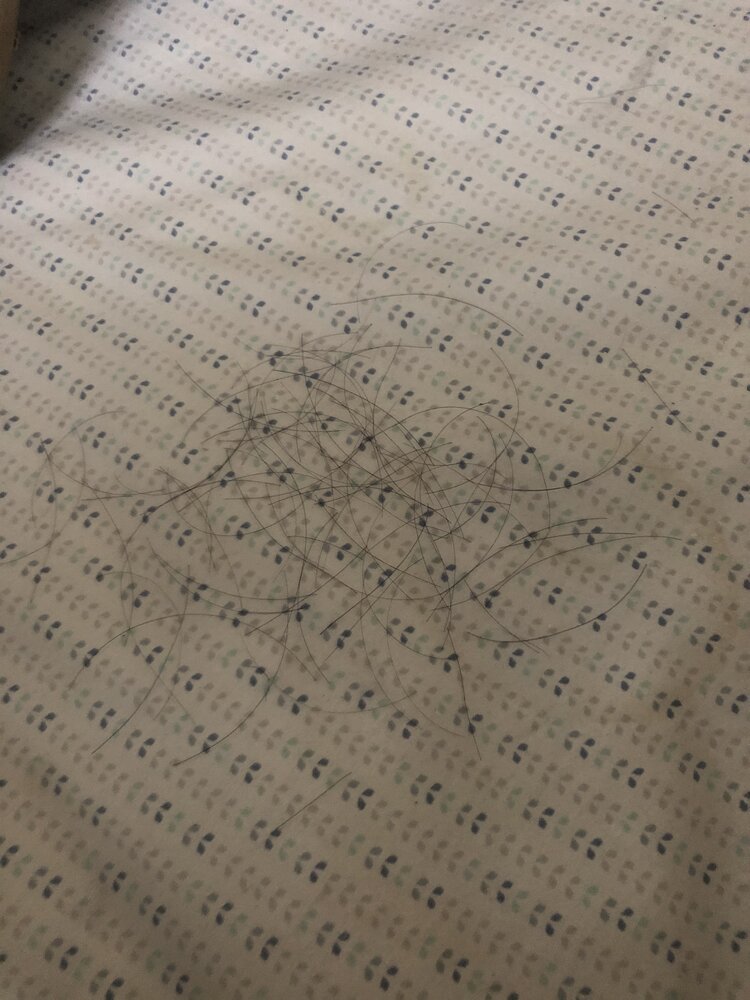 95CB0E68 61FC 4CE4 9863 BF2733C653B1