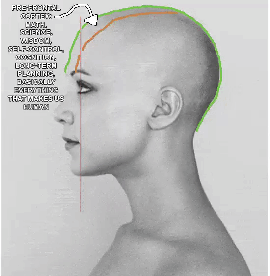 Ezgif 2 721134cb1e47