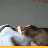 FB8E1153 F419 42F2 B4BC CC750DBF6FEB