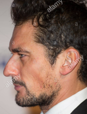 Gandy