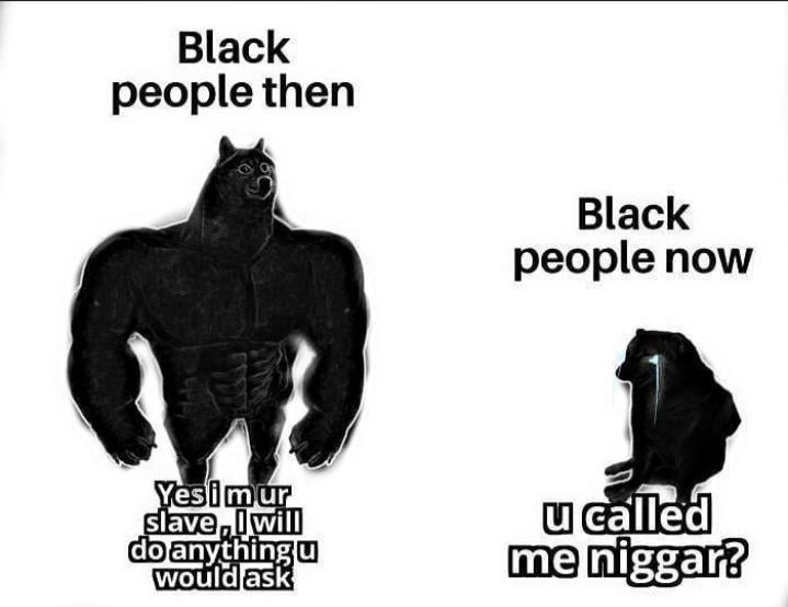 7E9025DD 90EE 46C8 8C77 C8C011EC6A6F