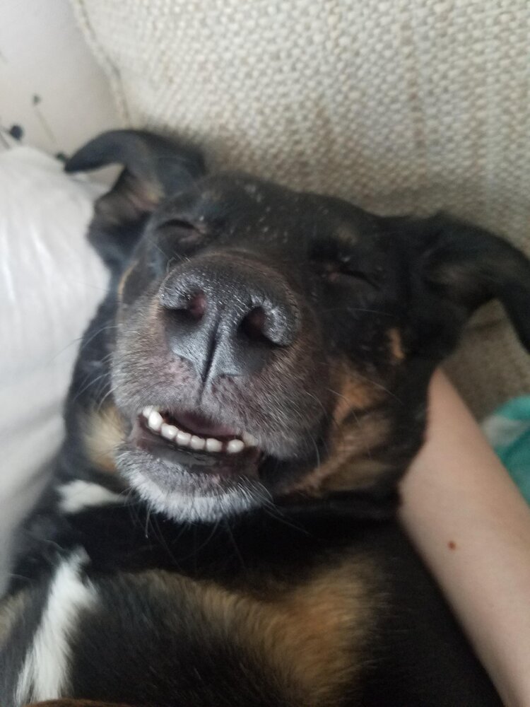 FE3999CB 48BD 4EF6 A413 B77F7516C9B1