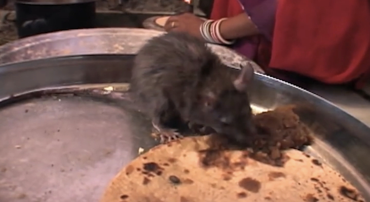 F69ADBCB DD01 4D28 B4D8 DF007426EEA4