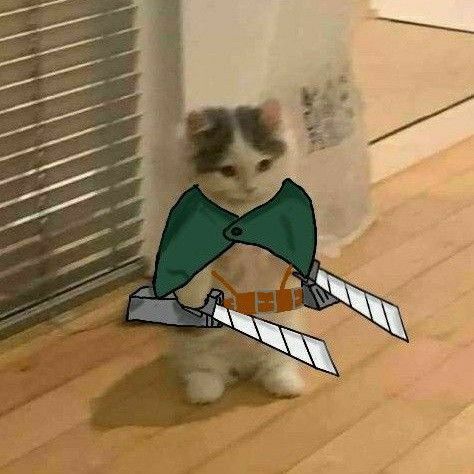 22be53bc84f7ad15fa13d9355c9767b8