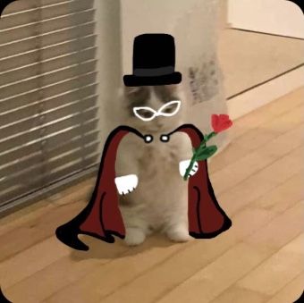 C6c8f50e28a3e0d8f5029592377550b4