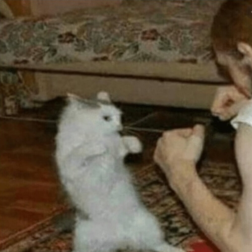 Comment 1594697070sXrEPsLeXHY6DXIWi2FQXg