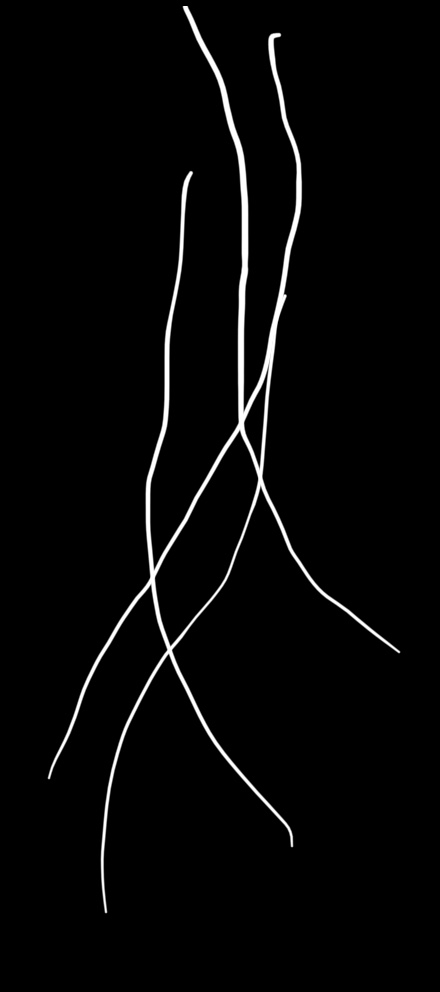 ED6A98FF 81AB 4EFC B017 0BFAF2E20A9E