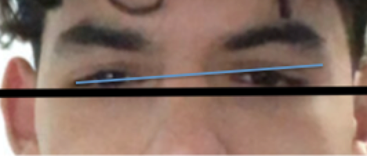 1613862943181