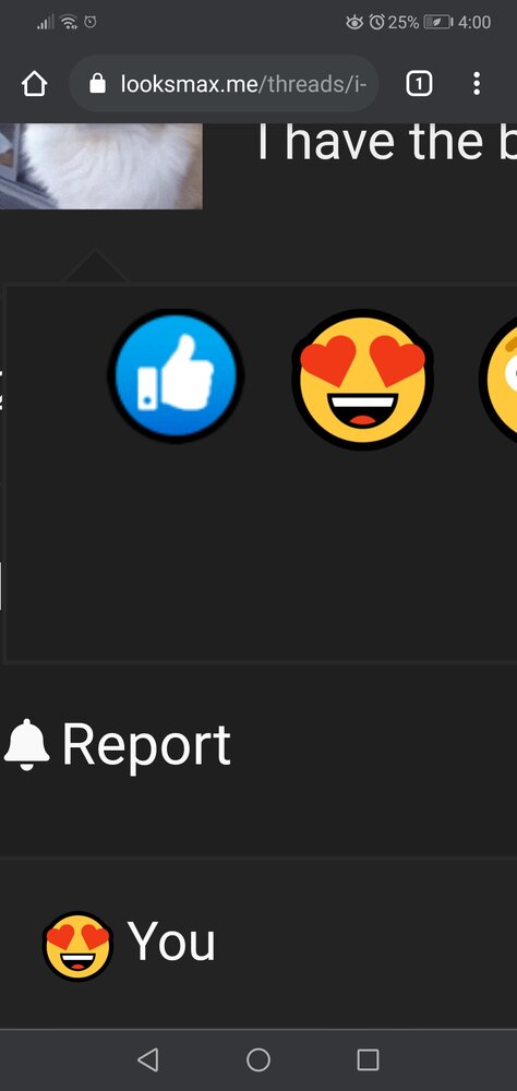 Screenshot 20210221 040052 comandroidchrome