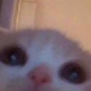 7748ca12ff7a721b060698c1aba9fe01