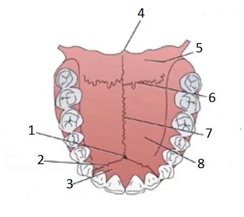 50A12BB8 B741 4C3E AB22 8D8FEC93DF2E