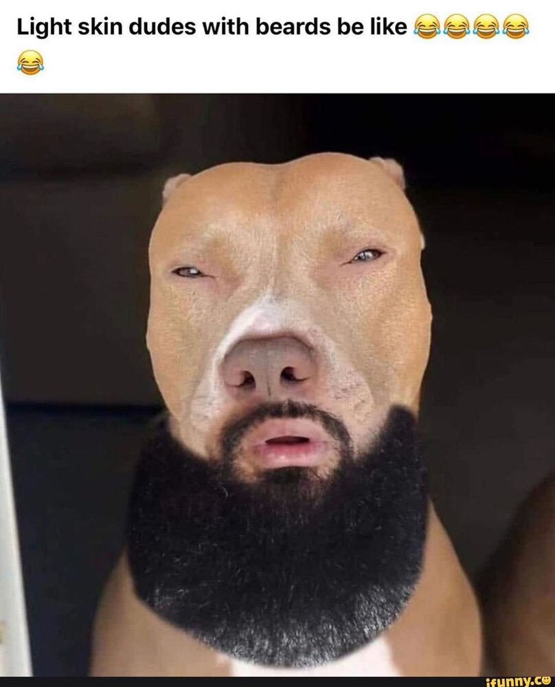 C25909dd63ddf69eaac516649a73cd0e75cd5dd6fe8186db48b3f41e2242d3d6 1