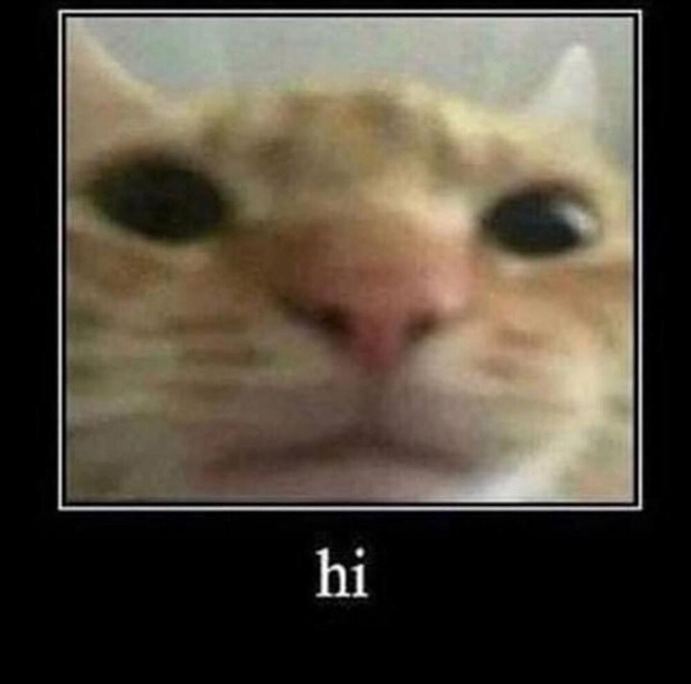 1582682052659