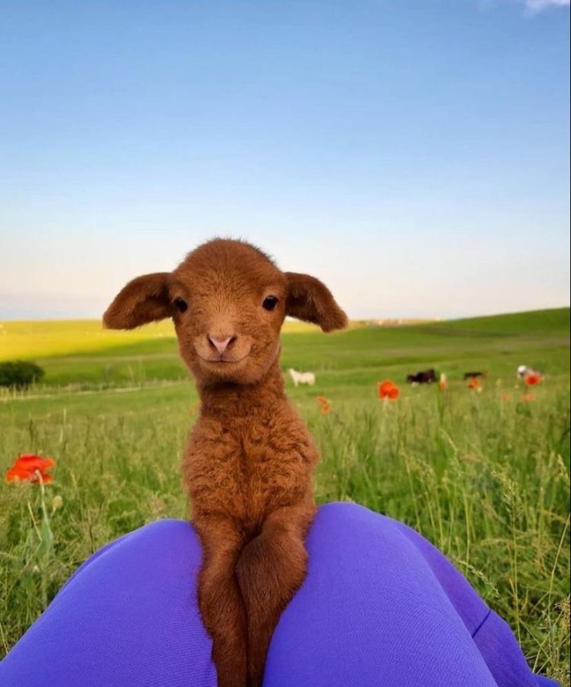 006B4D75 5428 431C A02D AF874F680752