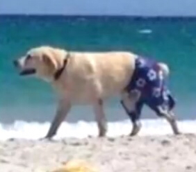 33006FFC 3023 4AB5 8670 A019CB70D7BA