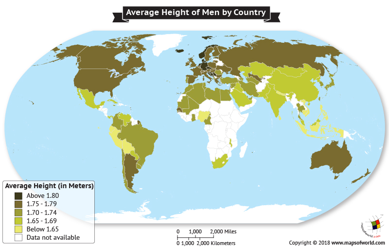 World map average height males