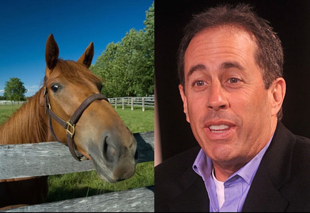 C297E6A8 1E1E 450A BE55 783AB52D76CC