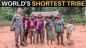 WORLD'S SHORTEST TRIBE (Pygmies of Central Africa) - YouTube