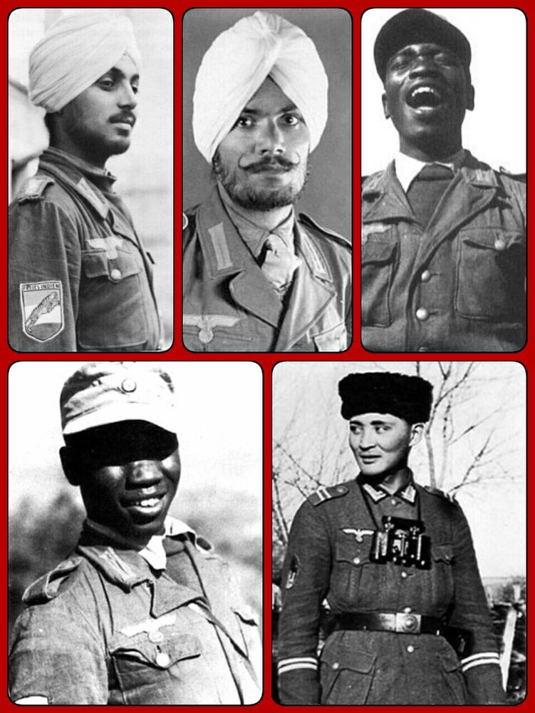 54da47f8333118e1c4949f575b2efb9c