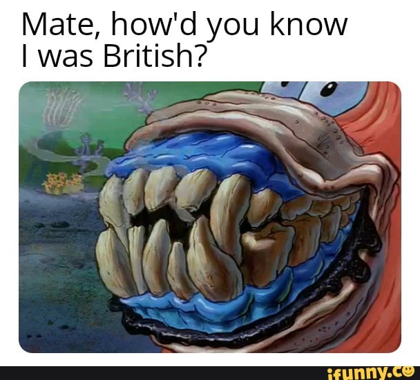 84169ED4 40C8 4FC6 B467 11B1F0B0C382