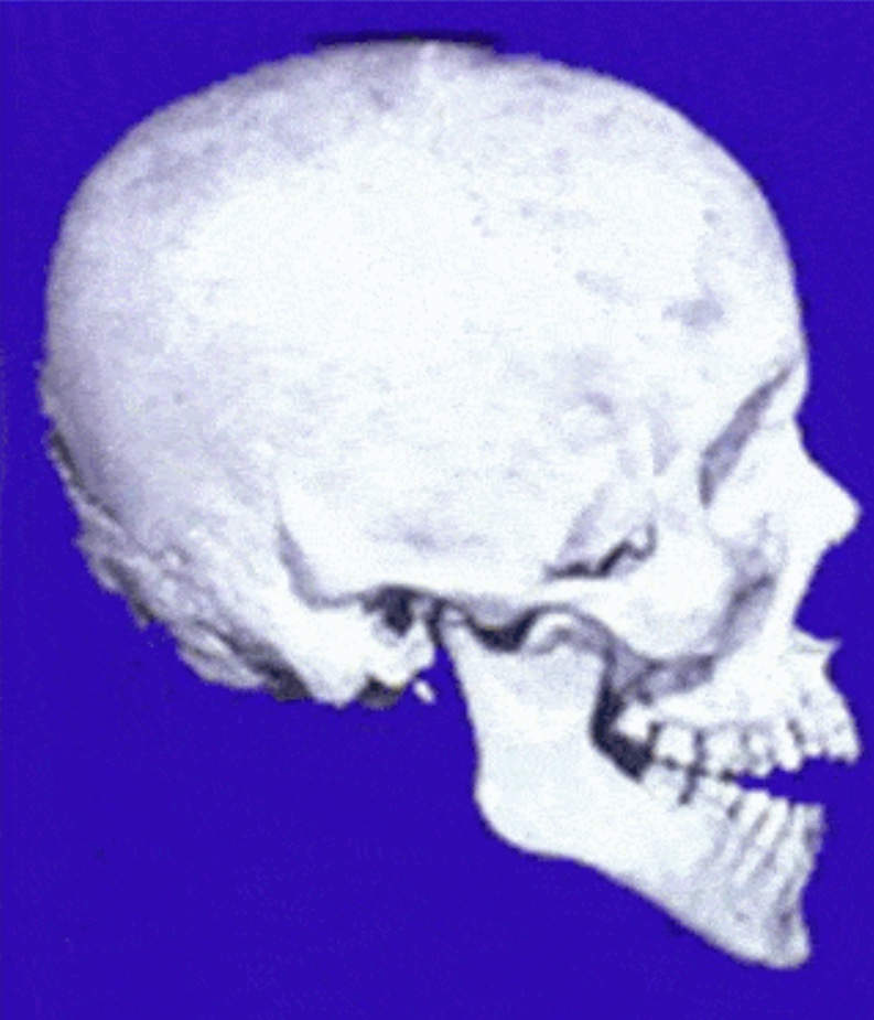 2F80E1FF E7B8 4458 BACE C20ADF2A293F