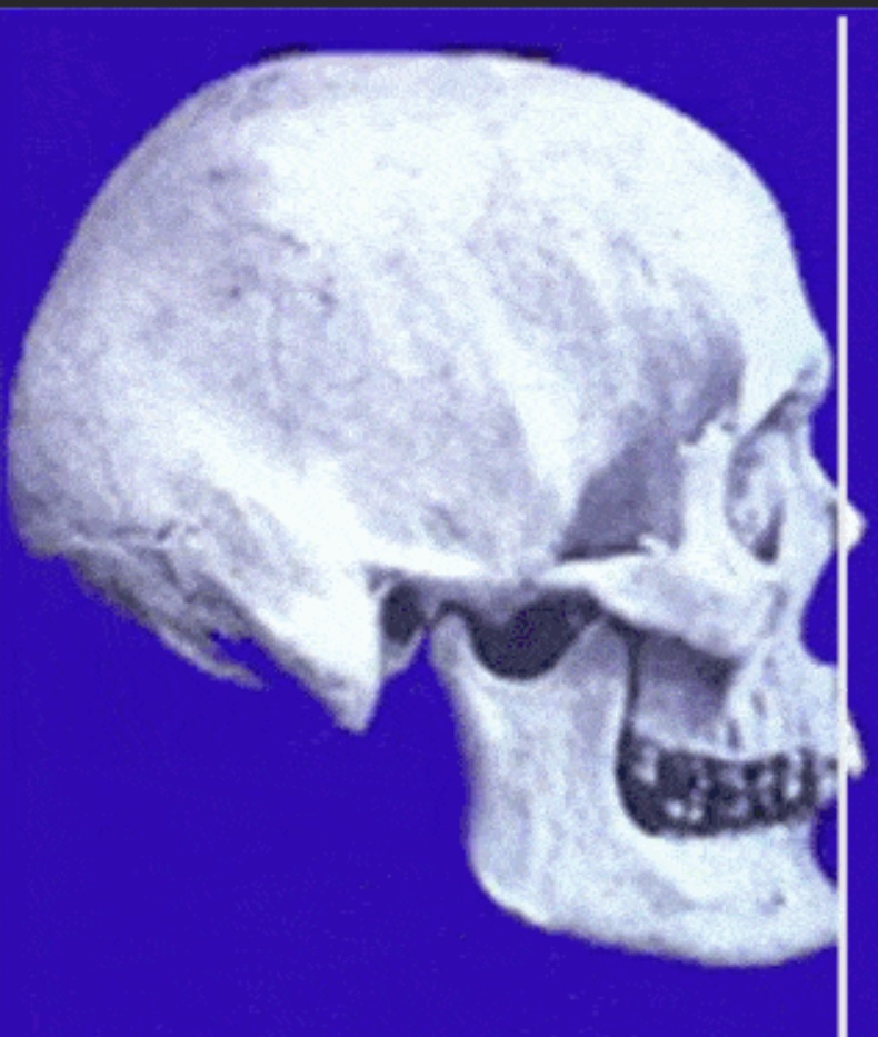 12D78955 2736 40BD 917B 0215B5D5CA1D