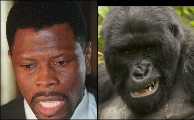 Patrick Ewing Totally Looks Like1