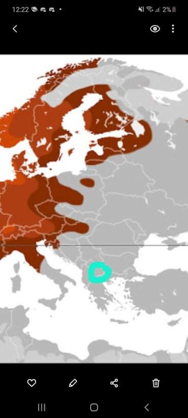 Received 2552280908409571