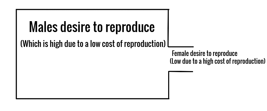 Screenshot 2021 02 26 at 83700 AM