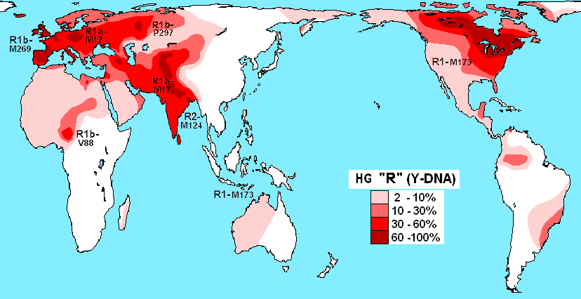 Haplogroup R Y DNA