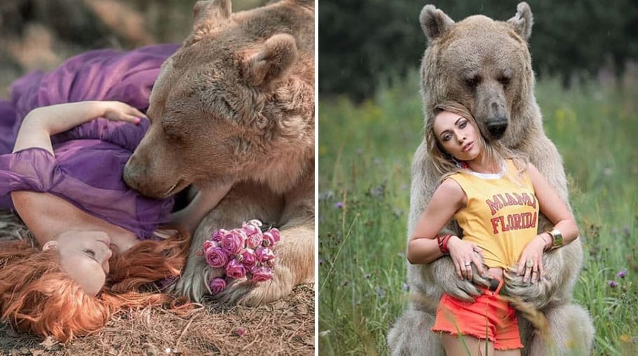 1537494644478 bear photos