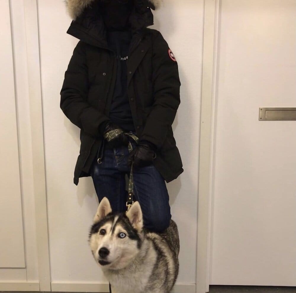 0D6286D5 9B0B 48E1 BD31 88CF3782FF53