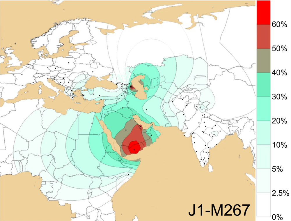 Geographical frequency distribution of Haplogroup J1 M267 Y DNA