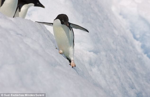 6C2F8B76 FE0D 440F B2F9 7B4AE6F1DB63