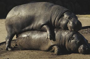 90FFAB9C B542 43CD 87B7 4E2BFE4D6EB5