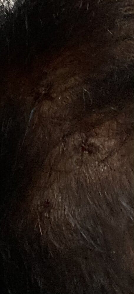 8918C420 370C 4CAF A9AD 8CD8CE7ED4D2